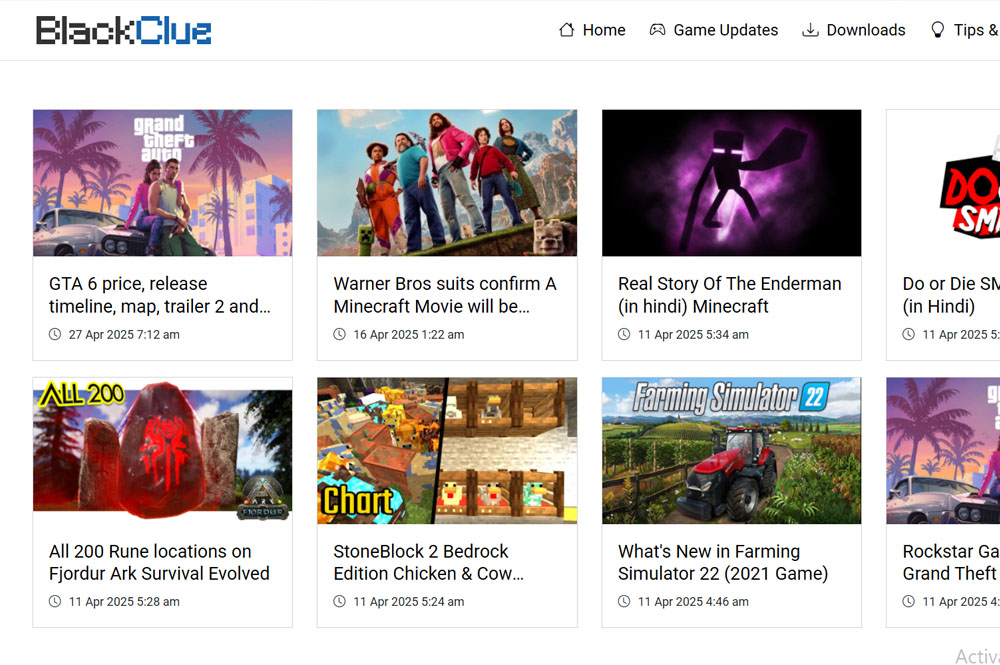 blackclue.com